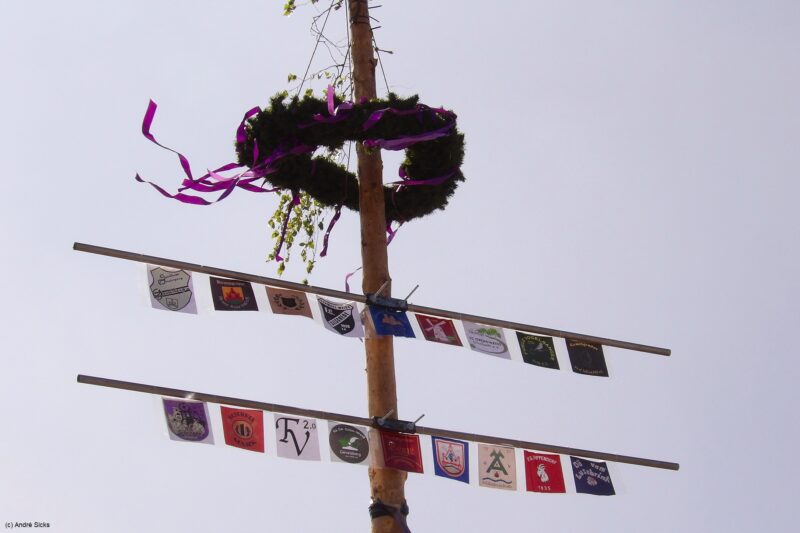 Der Maibaum steht, das Fest kann beginnen!
